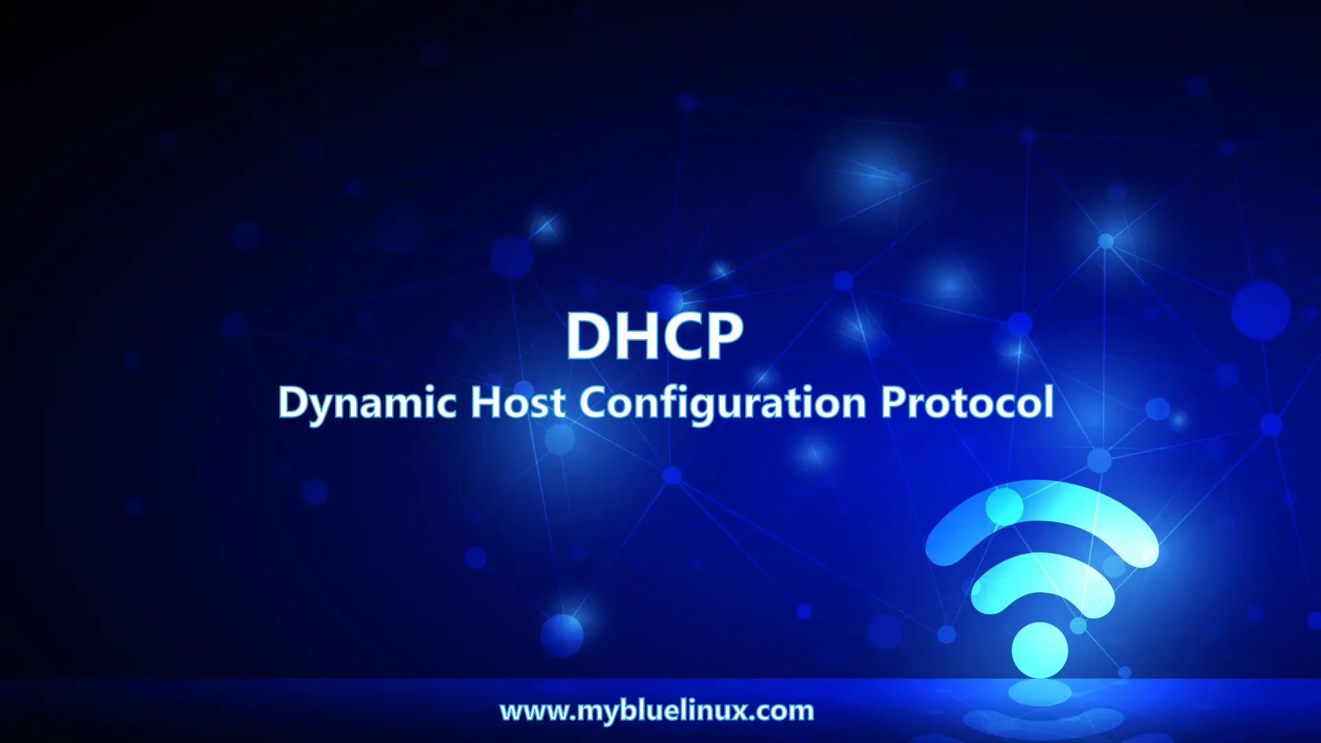 DHCP Basics