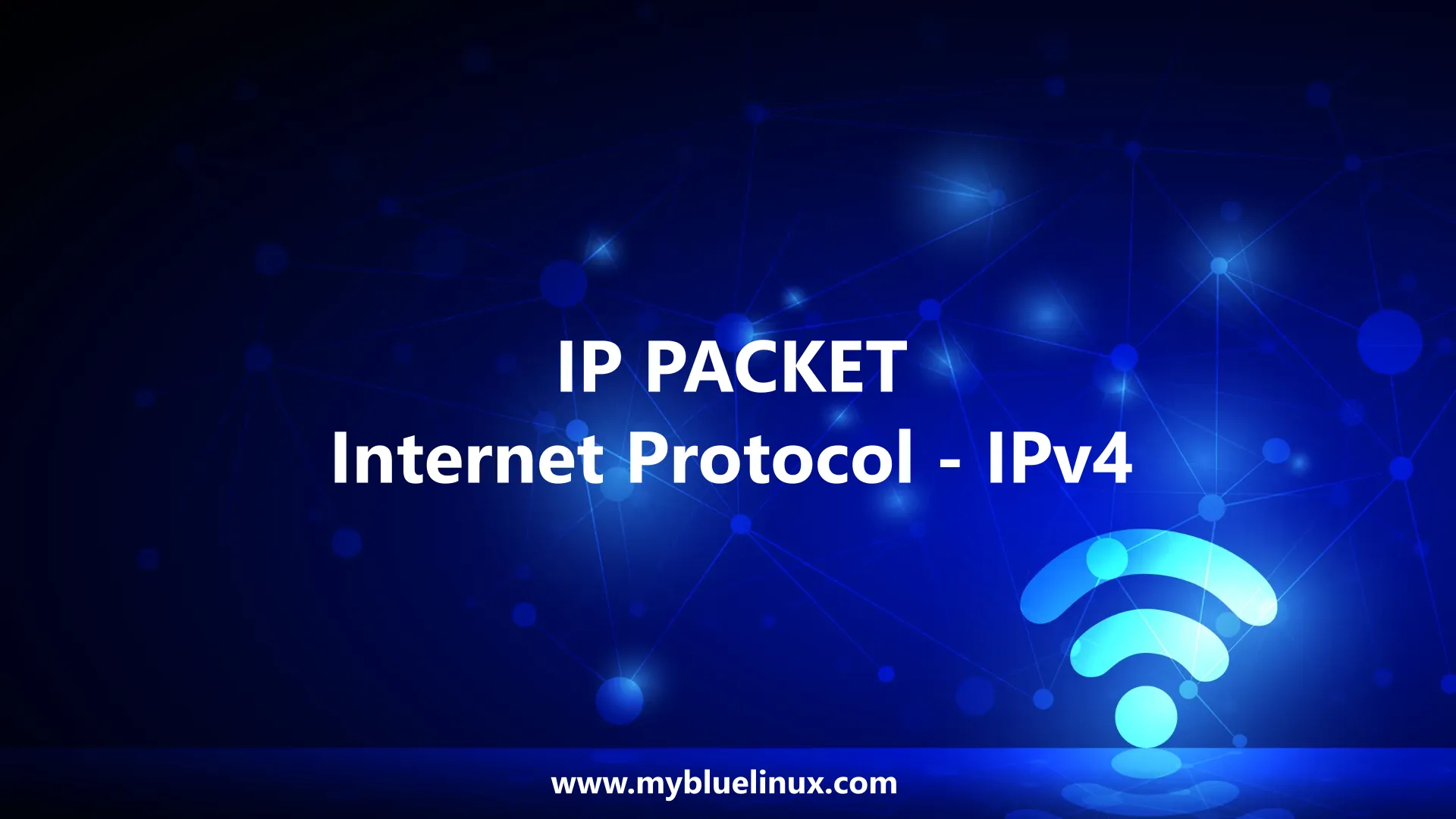 IP Packet Structure